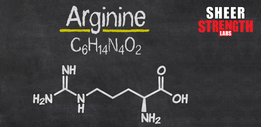 Amino Acids and the Effects on Your Body