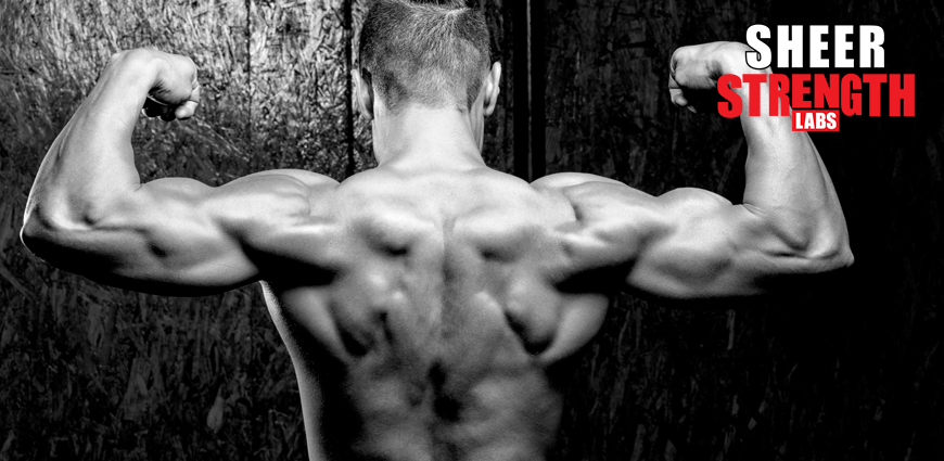 Trap Muscle Exercises for a Greater Body