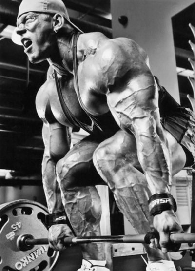 Massive Gains Training Exercises: Deadlifts