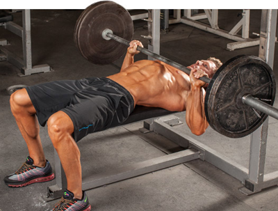 Massive Gains Training Exercises: Bench Press