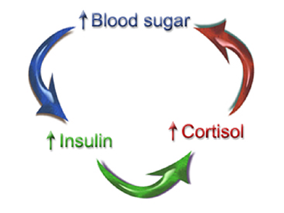 Fat Issues and How to Lose Getting More Fat: Blood Sugar
