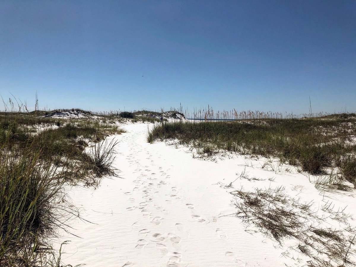 Shell Island Boat Rentals