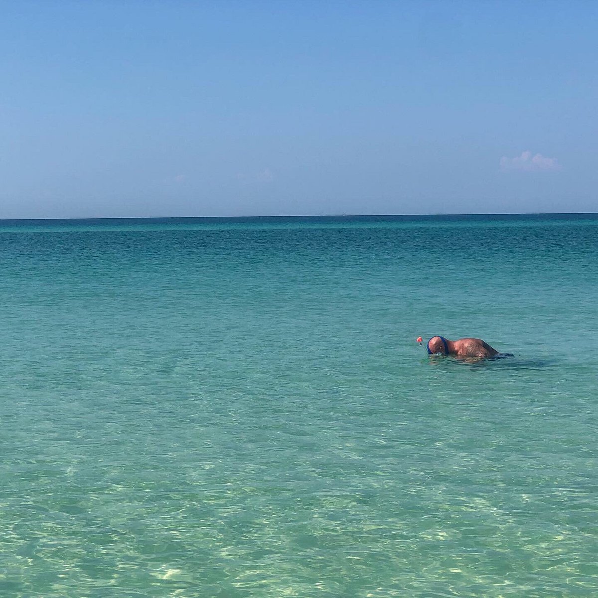 Shell Island Cruises Tide Chart