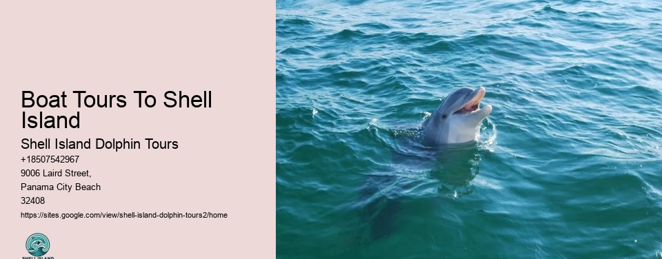 Boat Tours To Shell Island