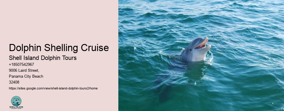 Dolphin Shelling Cruise