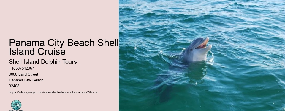 Panama City Beach Shell Island Cruise