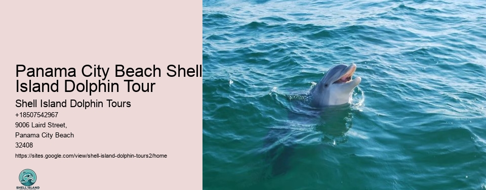 Panama City Beach Shell Island Dolphin Tour