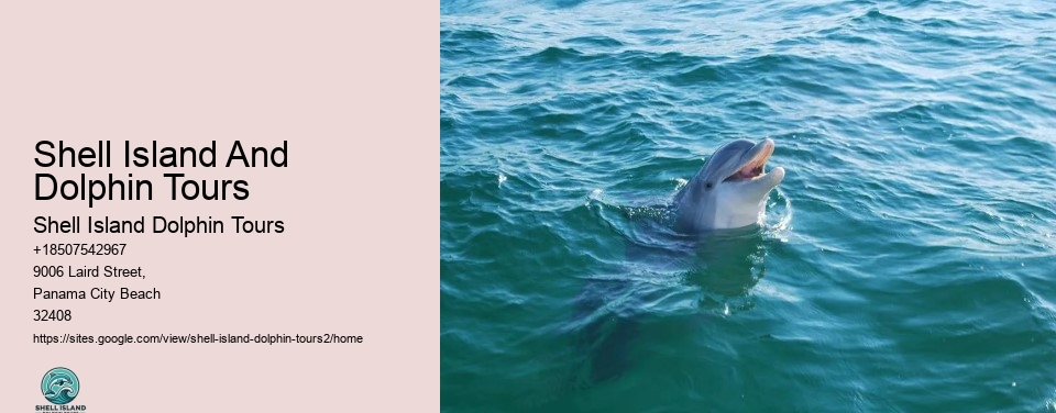 Shell Island And Dolphin Tours