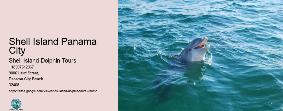 Shell Island Panama City