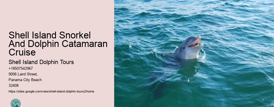 Shell Island Snorkel And Dolphin Catamaran Cruise