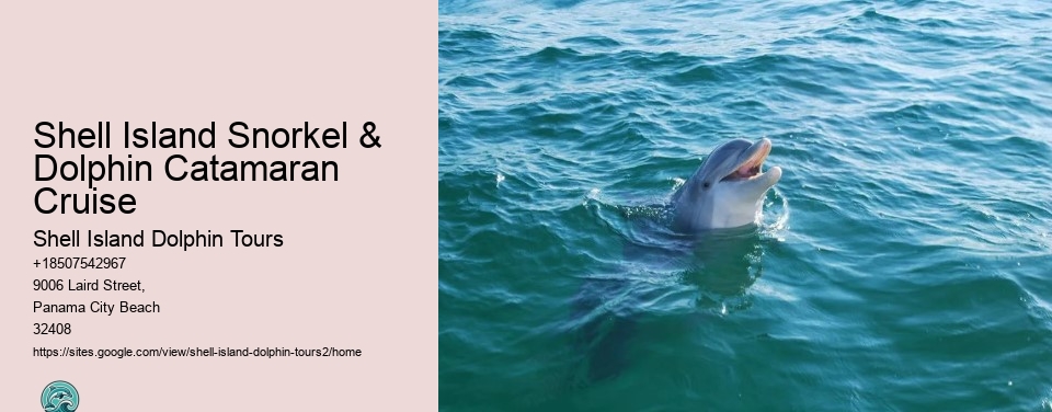 Shell Island Snorkel & Dolphin Catamaran Cruise