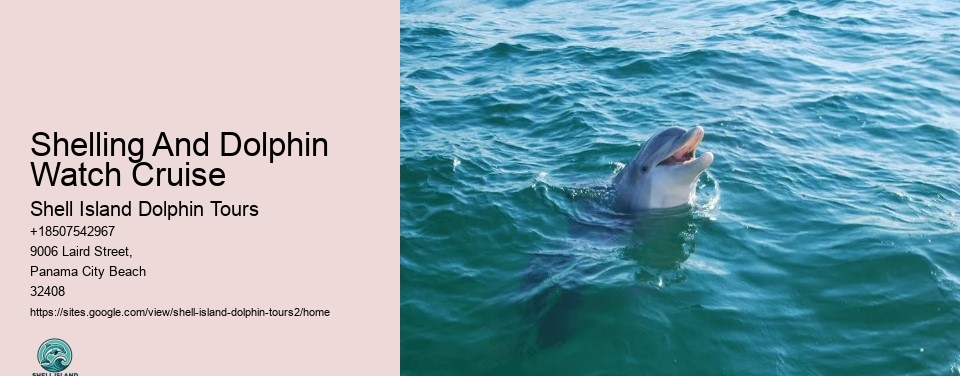 Shelling And Dolphin Watch Cruise
