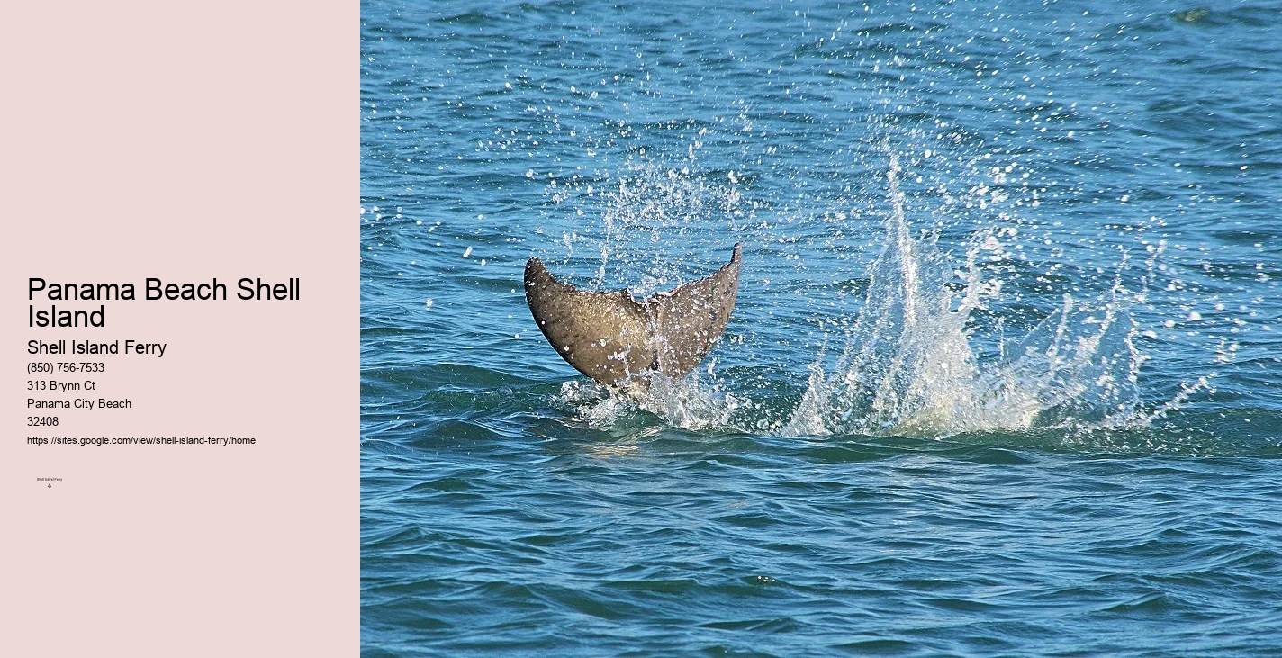 Shell Island Panama City Fl	