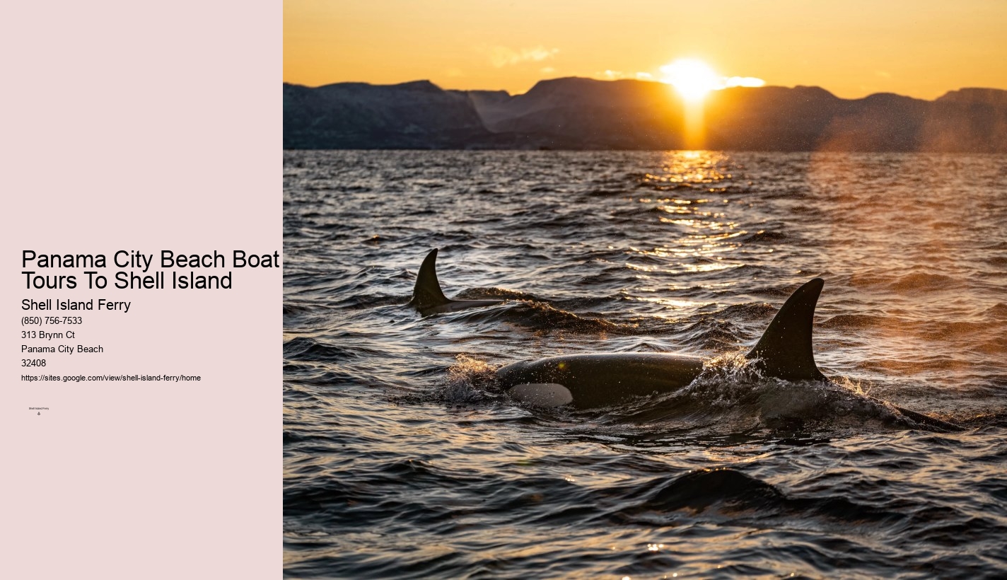 Shell Island Pontoon Rental	