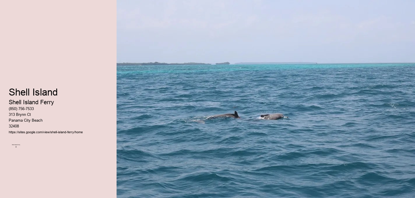 Shell Island Panama City Beach Fl	