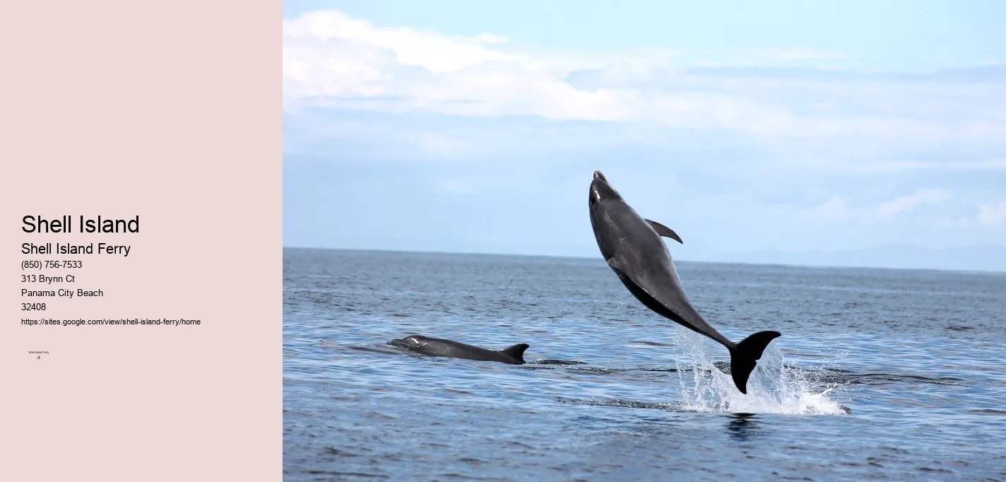 Shell Island Panama City Fl	