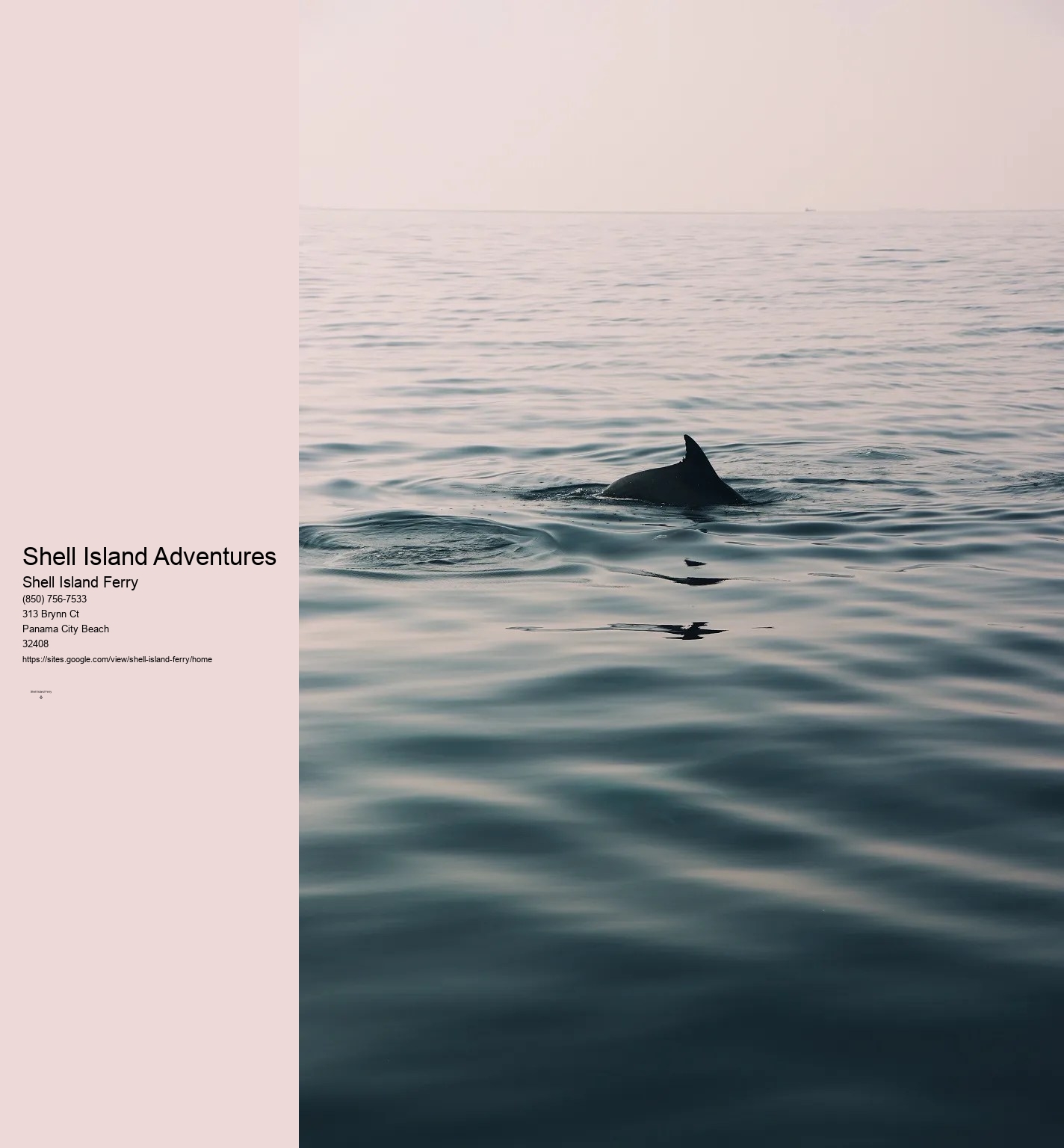 Shell Island Boat Rentals Panama City Beach	