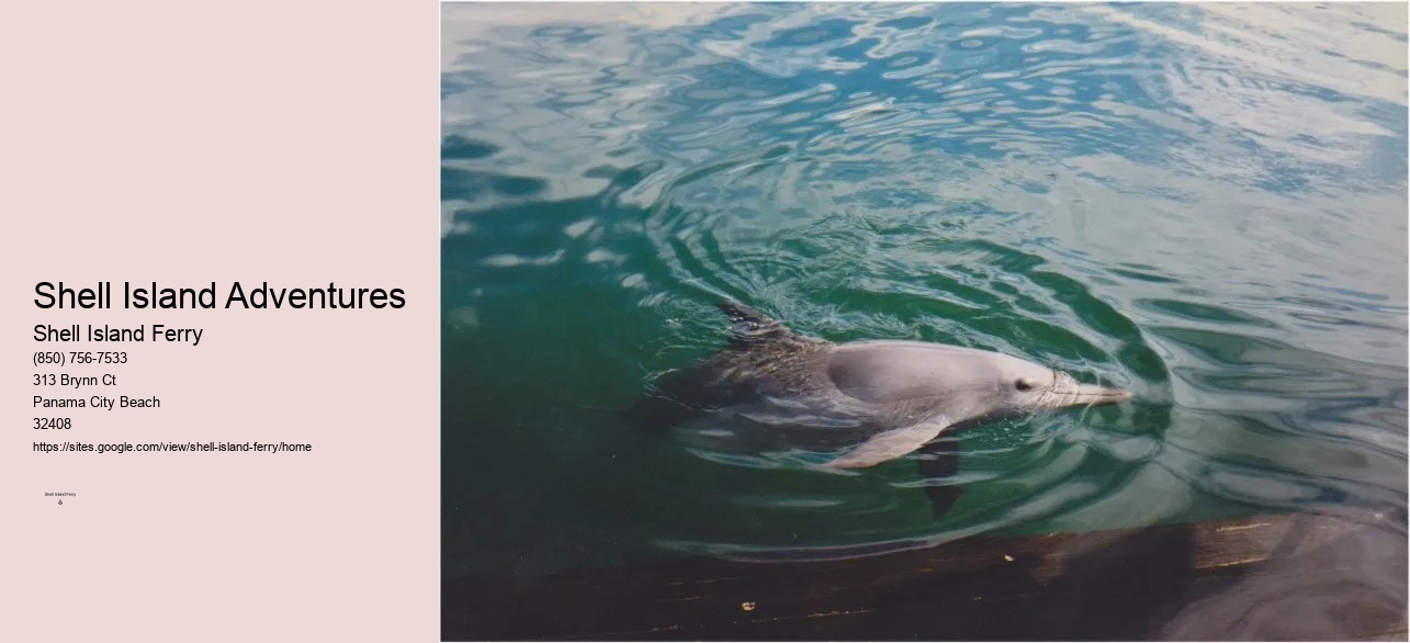 Shell Island In Panama City Beach	