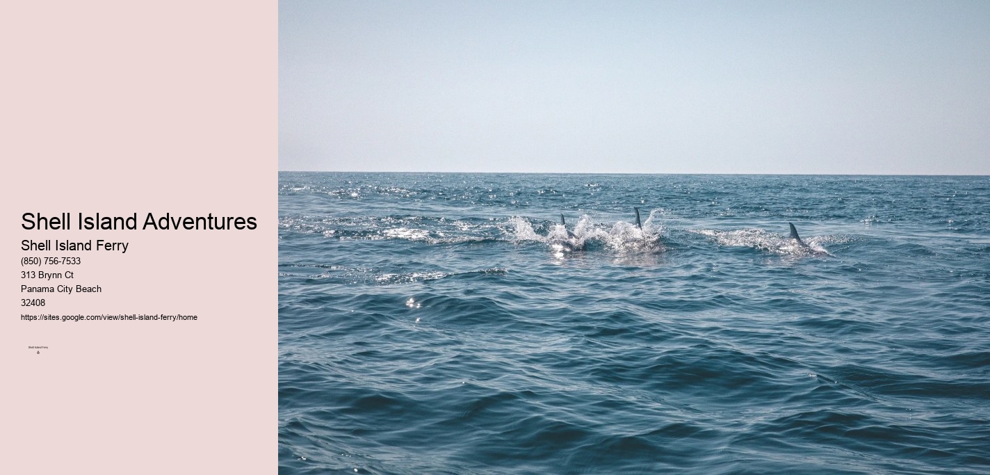 Shell Island Charter	