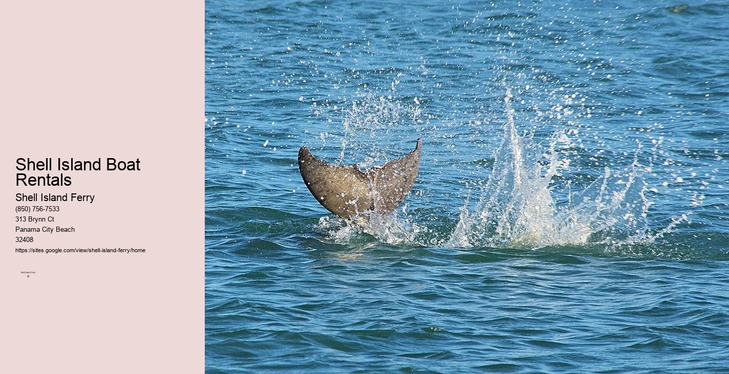 Shell Island Ferry Panama City Beach	