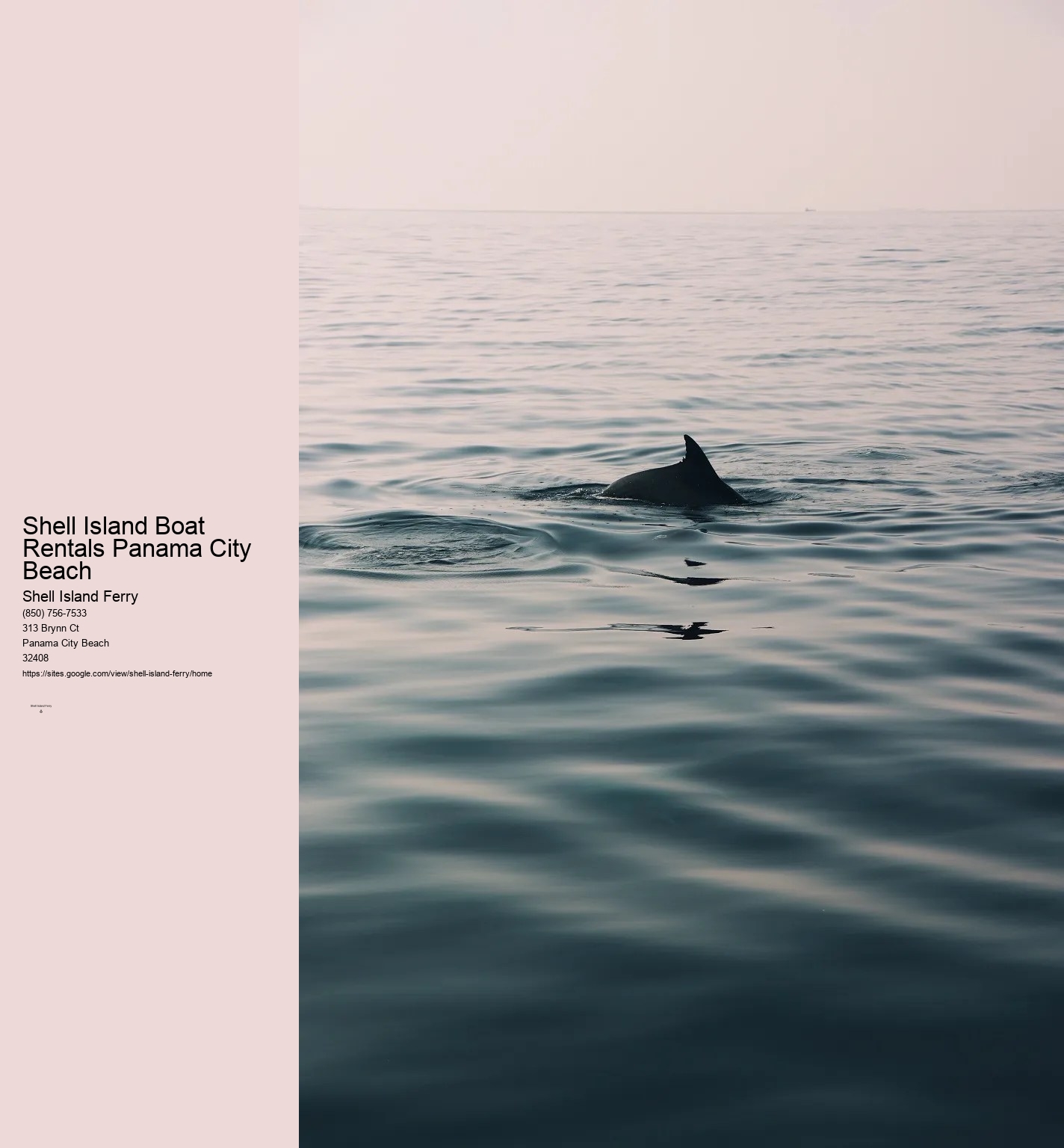 Shell Island Pontoon Rentals	