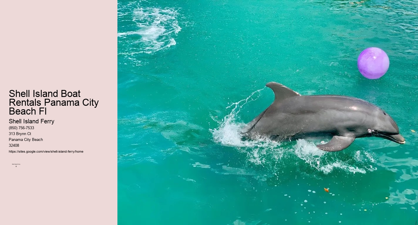 Shell Island Pontoon Rental	