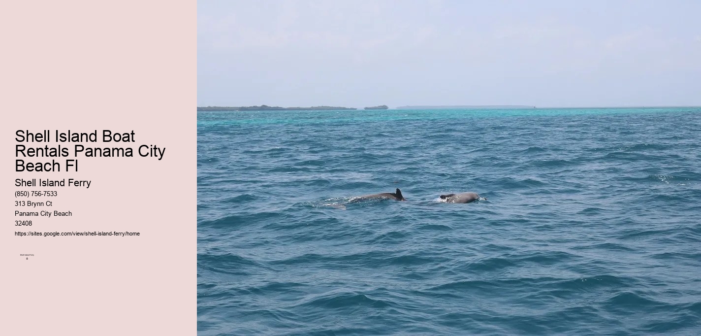 Shell Island Dolphin Tours	