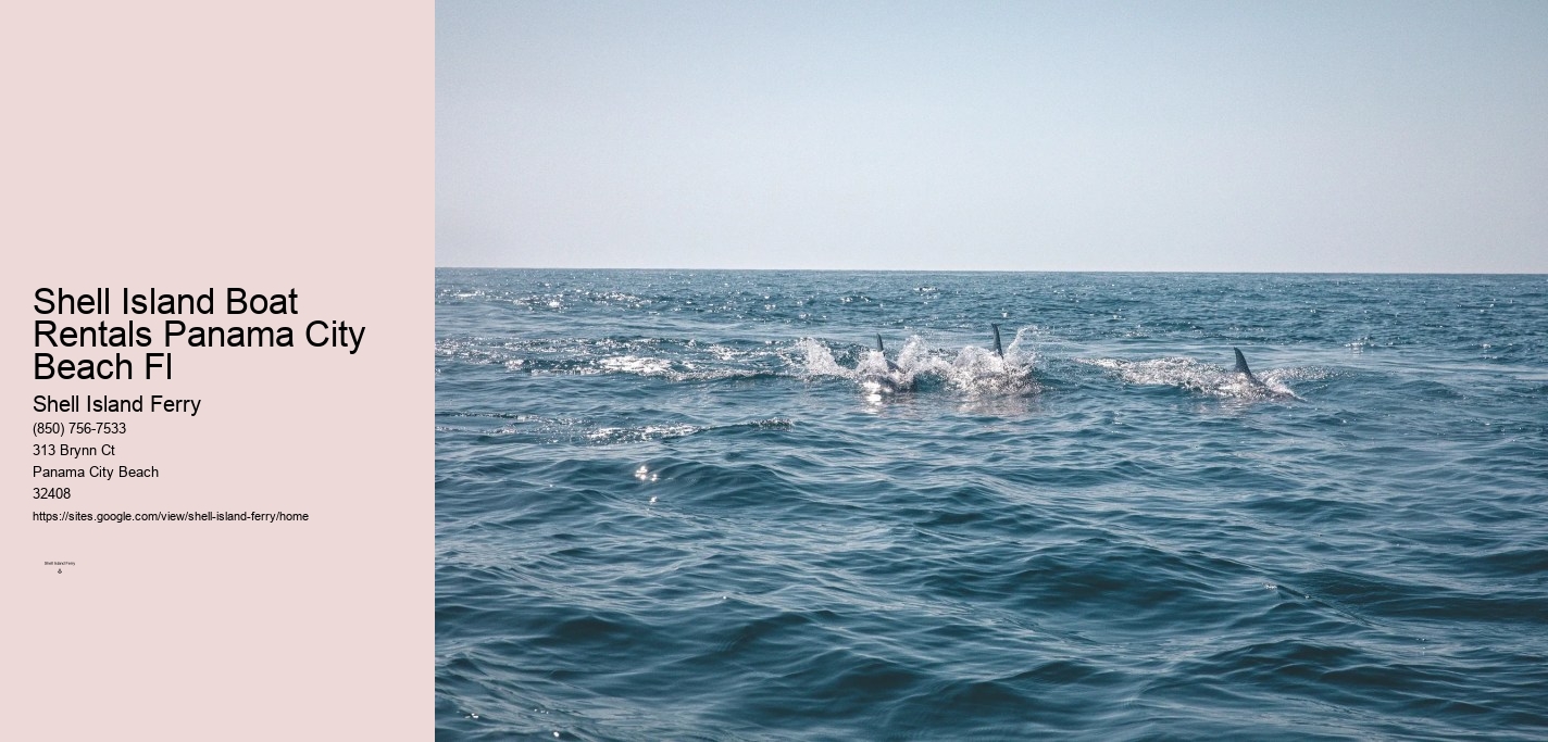 Shell Island Boat Rentals	