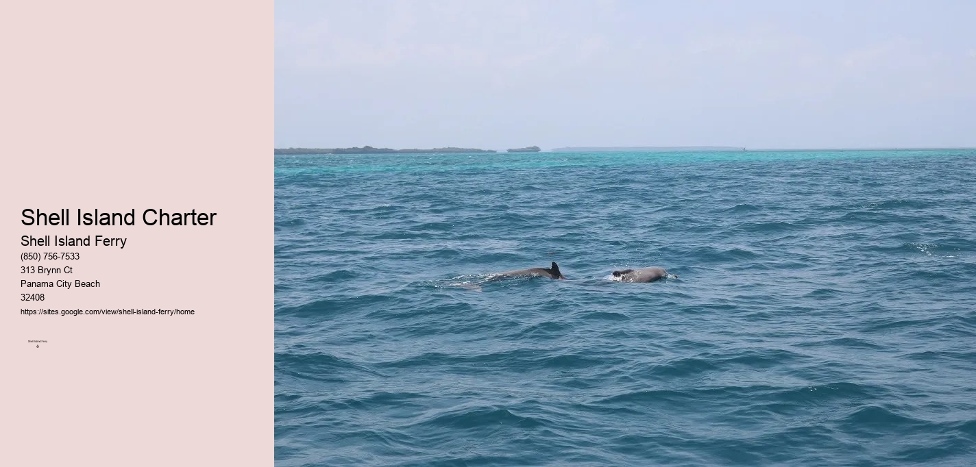 Shell Island Boat Rentals Panama City Beach	