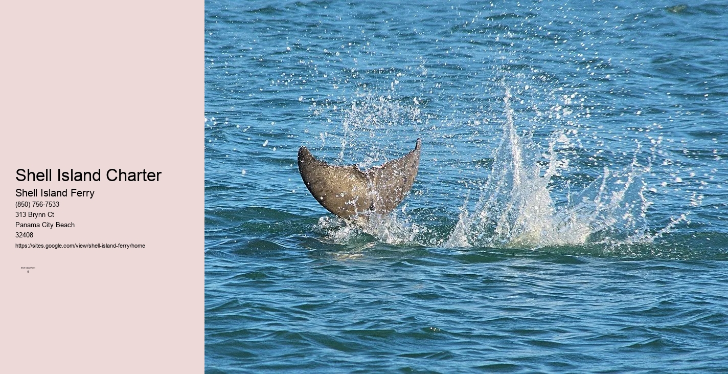 Shell Island Panama City Florida	