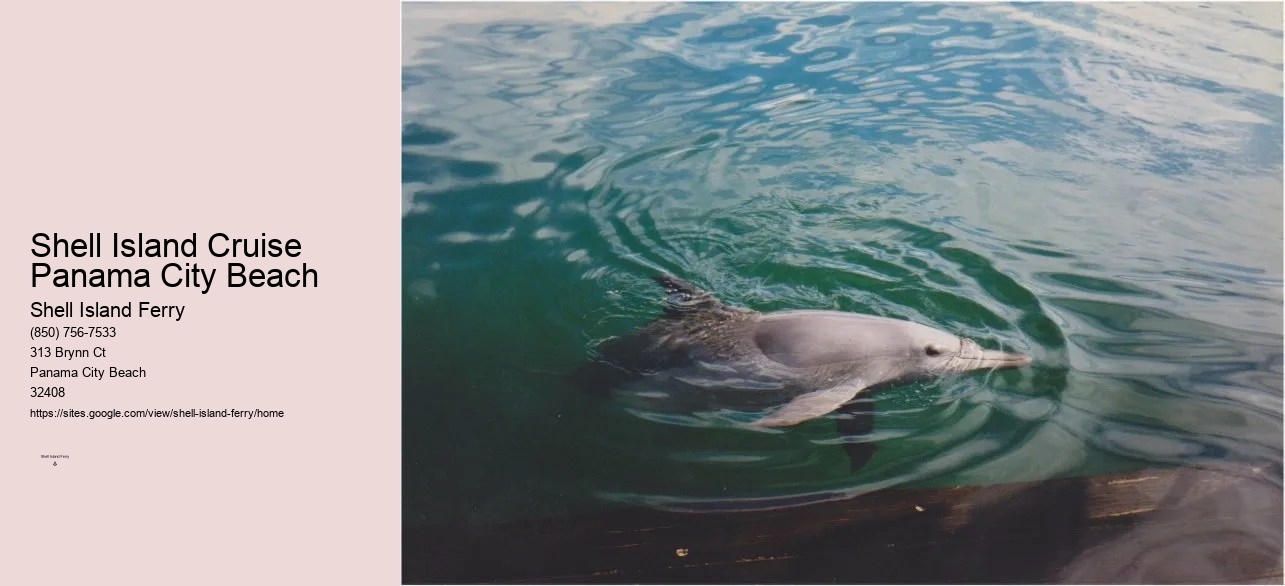 Shell Island Boat Tours Panama City Beach Fl	
