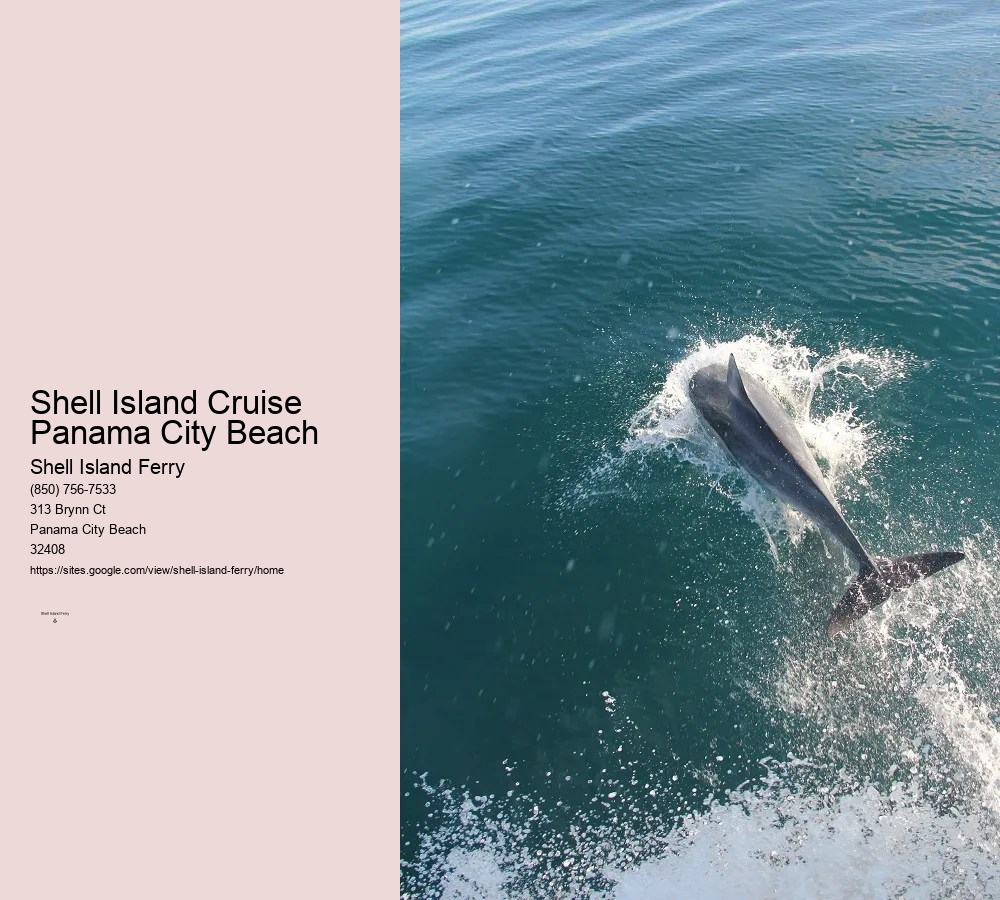 Shell Island Shuttle Panama City Beach Florida	