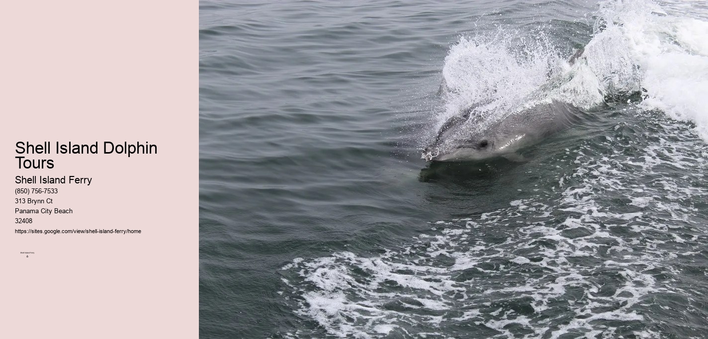 Panama City Beach Boat Tours To Shell Island	