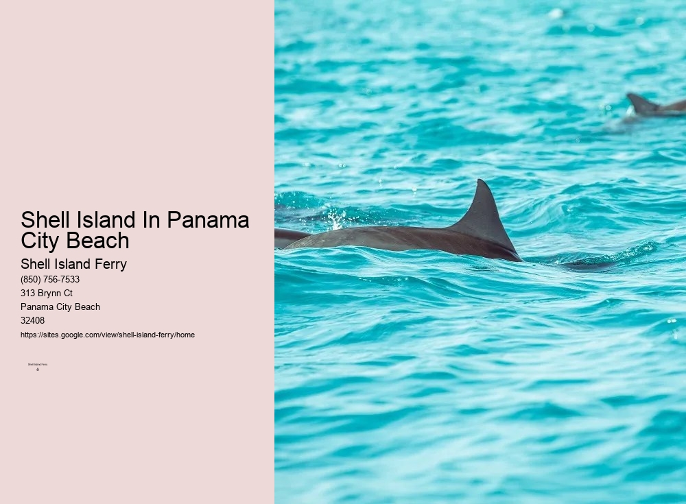 Shell Island Boat Rentals	