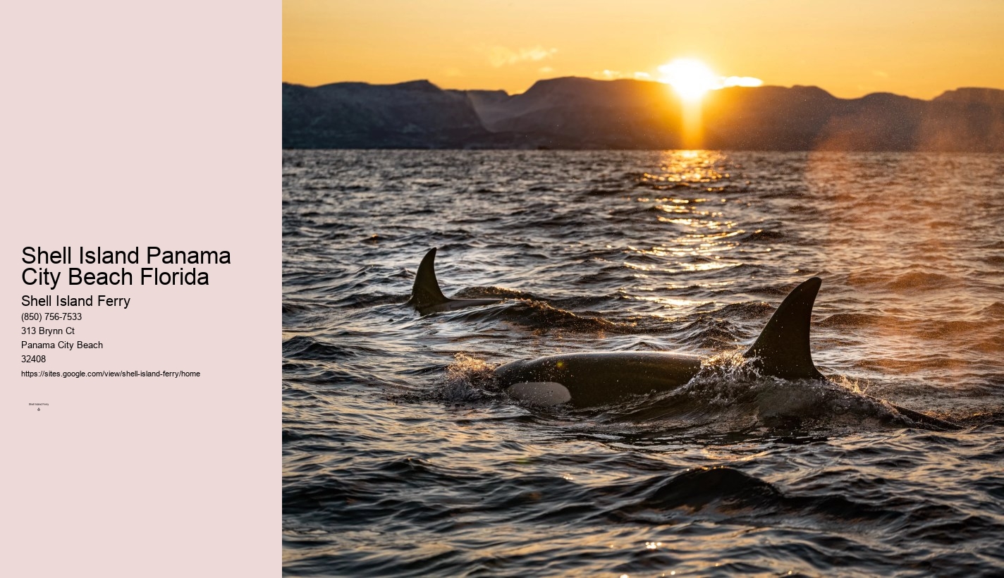 Shell Island Panama City Beach Florida	