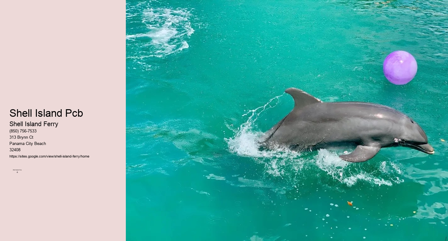 Shell Island Cruise Panama City Beach	