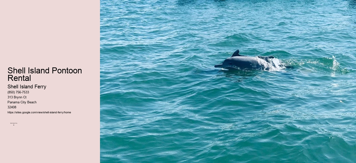 Shell Island Panama City Beach Fl	