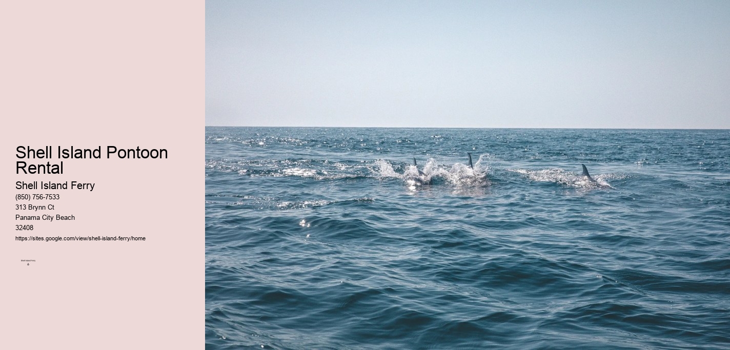 Shell Island Shuttle Panama City Beach Florida	