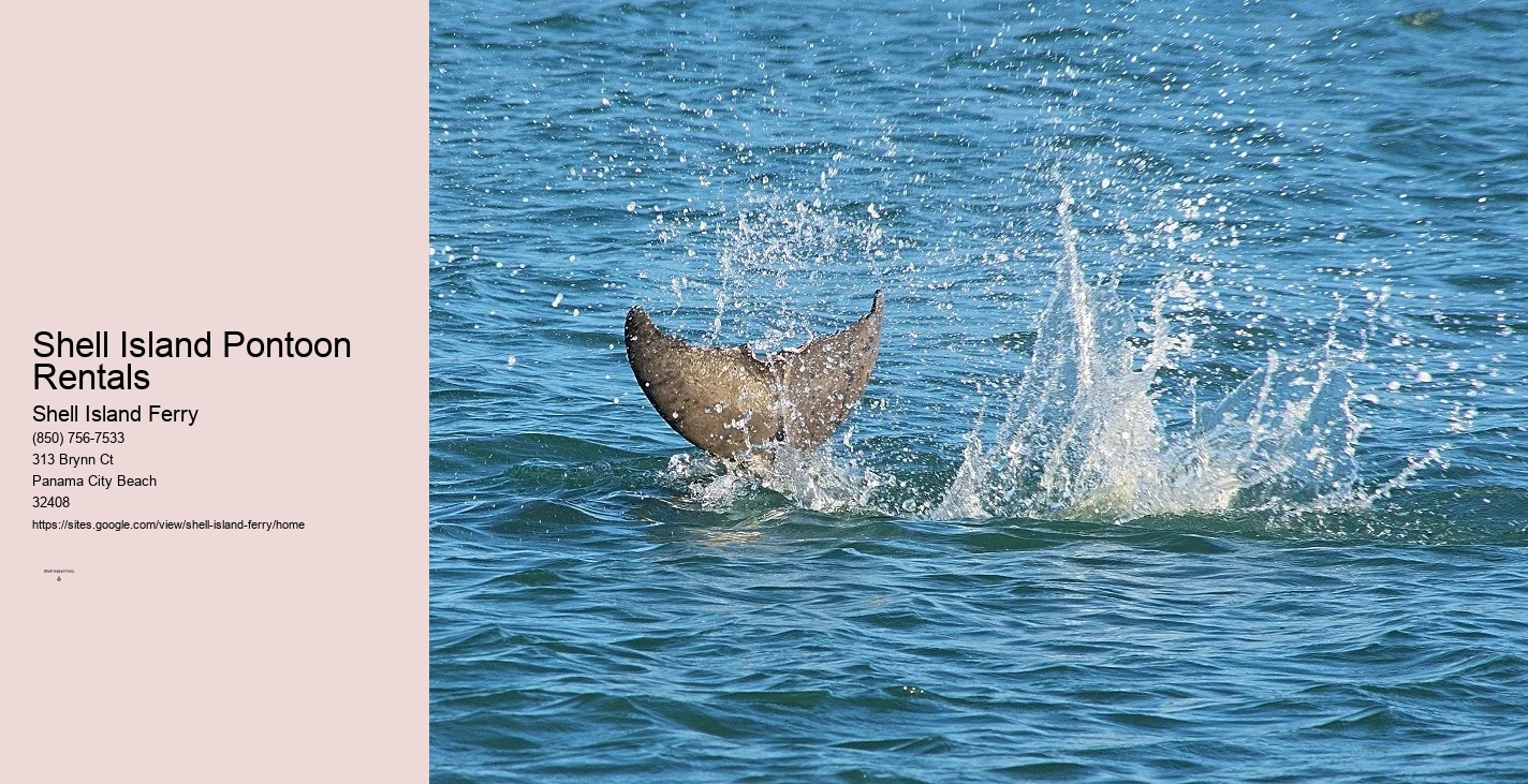 Shell Island Pontoon Rental	