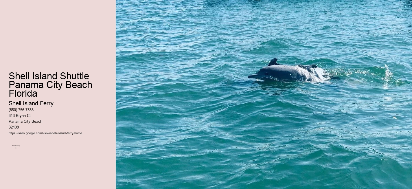 Shell Island Boat Rentals Panama City Beach Fl	