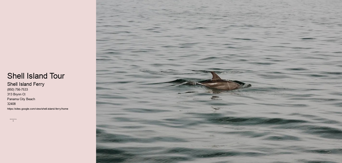 Shell Island Excursions Panama City Beach	