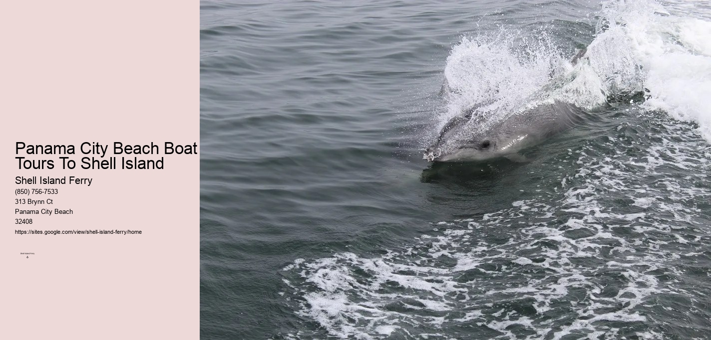 Panama City Beach Boat Tours To Shell Island