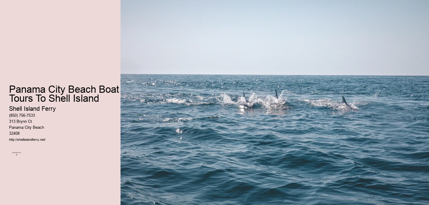 Shell Island Panama City Fl	