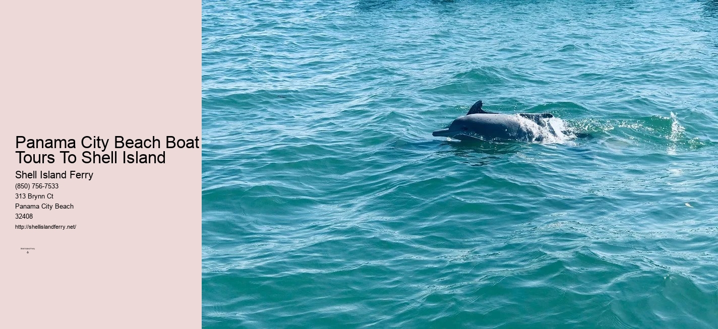 Shell Island Panama City Beach Fl	