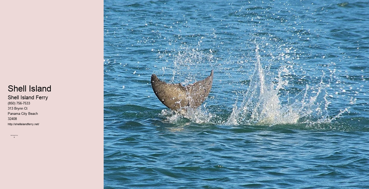 Shell Island Boat Rentals Panama City Beach Fl	