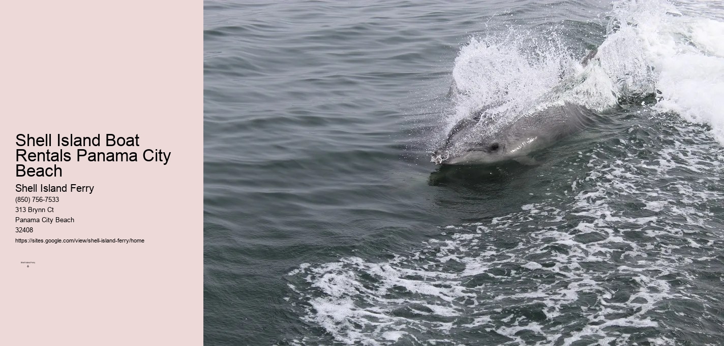 Shell Island Boat Rentals Panama City Beach