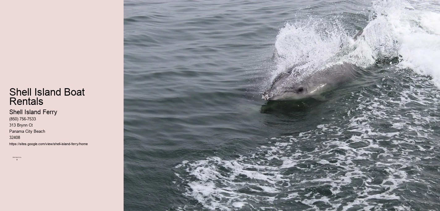 Shell Island Boat Rentals