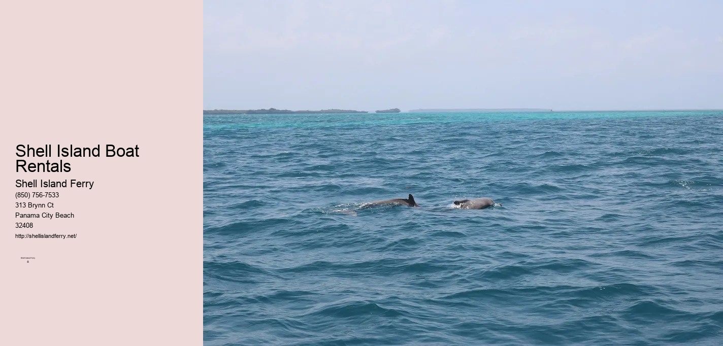 Shell Island Boat Rentals	