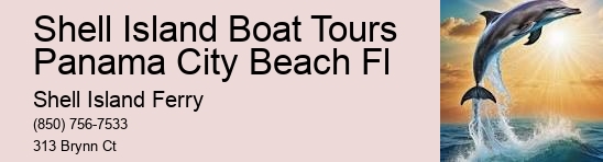 Shell Island Adventures