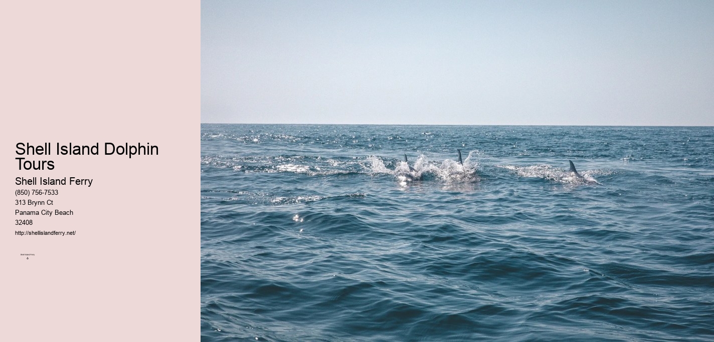 Shell Island Ferry Panama City Beach	